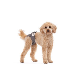 Produktbild von Lill's Läufigkeitshöschen aus Bio-Baumwolle Lou Grau XL