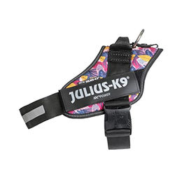 Limited Edition Julius-K9 IDC® Powerharness, Leaf 2 - Größe L/1: Brustumfang 63 - 85 cm – Bild 1 von 5
