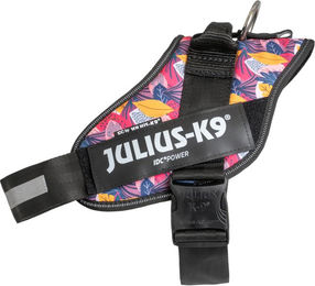 Produktbild von Limited Edition Julius-K9 IDC® Powerharness, Leaf 2 - Größe XL/2: Brustumfang 71 - 96 cm