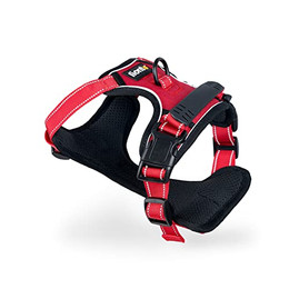 Produktbild von lionto Hundegeschirr gepolstert aus Nylon, Größe L, reflektierend, Anti-Zug - 1 Stk.