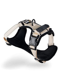 lionto Hundegeschirr gepolstert aus weichem Nylon Größe M beige – Bild 1 von 6