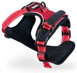 lionto Hundegeschirr gepolstert und reflektierend, rot, Größe S – Bild 1 von 6