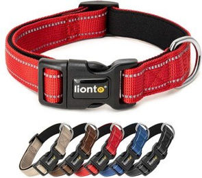 lionto Hundehalsband aus strapazierfähigem Nylon, Größe S, gepolstert, 360° reflektierend, Klickverschluss, rot - 1 Stk. – Bild 1 von 6