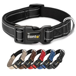 lionto Hundehalsband aus strapazierfähigem Nylon, Größe XS, gepolstert, 360° reflektierend - 1 Stk. – Bild 1 von 6