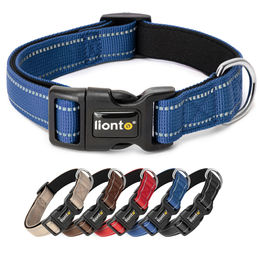 lionto Hundehalsband aus strapazierfähigem Nylon, Größe XS, gepolstert, 360° reflektierend, Klickverschluss, blau - 1 Stk. – Bild 1 von 6