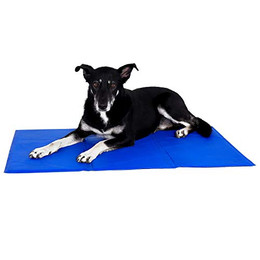 Produktbild von lionto Kühlmatte für Hunde & Katzen - 1 Stk.