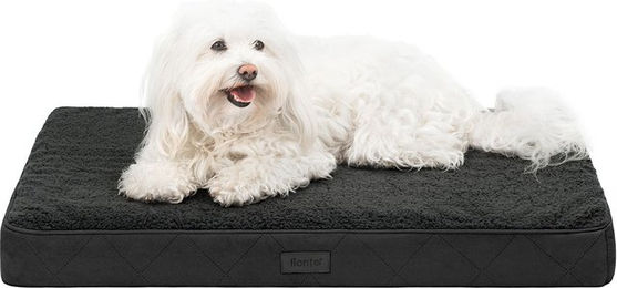 lionto orthopädisches Hundebett 76x51x8 cm – Bild 1 von 5