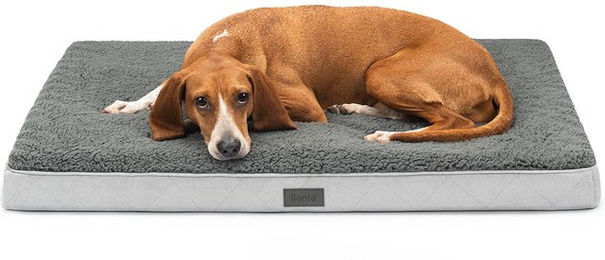 lionto orthopädisches Hundebett 91x69x8 cm grau – Bild 1 von 5