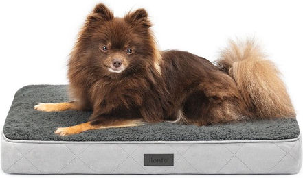 lionto orthopädisches Hundebett für Hunde und Katzen – Bild 1 von 5