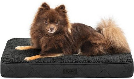 Produktbild von lionto orthopädisches Hundebett für Hunde und Katzen, schwarz, 60x40x8 cm