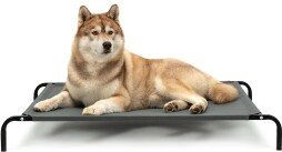 lionto Outdoor Hundeliege erhöht grau XL – Bild 1 von 5