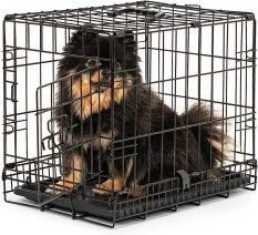 Produktbild von lionto Tiertransportbox Hundetransportkäfig Größe S 45x31x36 cm