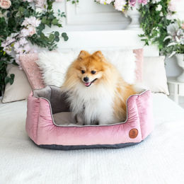 Produktbild von LokiLux kuscheliges Muschelbett für Katzen und Hunde „Charly“ - L , Grau und Pink