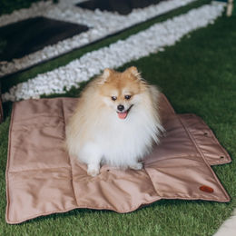 Produktbild von LokiLux Wasserabweisende Cord Liegedecke für Katzen und Hunde „Simba“ - S