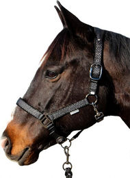 Produktbild von Longe Epsealon