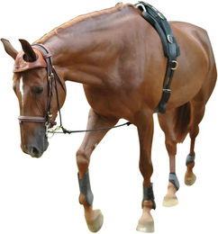 Produktbild von Longe Eric Le Tixerant Equilonge