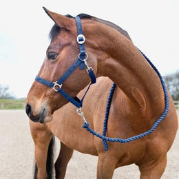 Longe für Pferde Horze – Bild 1 von 2