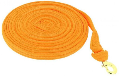 Produktbild von Longe für Pferde Norton Fluo