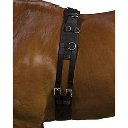 Longe Reiten Kincade Deluxe – Bild 1 von 2