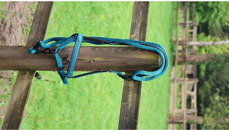 Produktbild von Longe Reiten Lami-Cell Charming