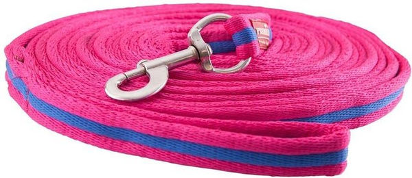 Longe Reiten mit Karabinerhaken Covalliero Doria – Bild 1 von 6