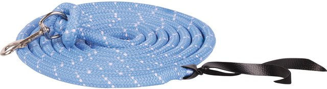 Produktbild von Longe Reiten mit Karabinerhaken Harry's Horse 4m