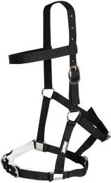 Longier für Reitpferde Kincade Padded – Bild 1 von 4