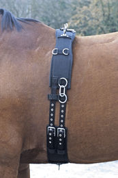 Produktbild von Longiergurt ED Nylon