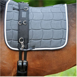 Longiergurt für Pferde mit Polsterung Kavalkade – Bild 1 von 2