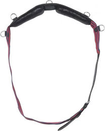 Produktbild von Longiergurt Norton Club