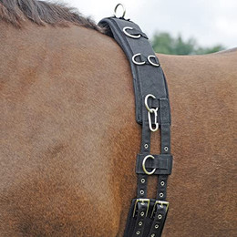 Produktbild von Longiergurt PROFI-SOFT Pony