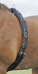 Longiergurt PROFI-SOFT Warmblut – Bild 1 von 3