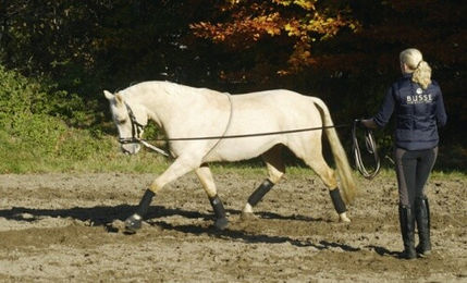 Longierhilfe Cotton – Bild 1 von 2