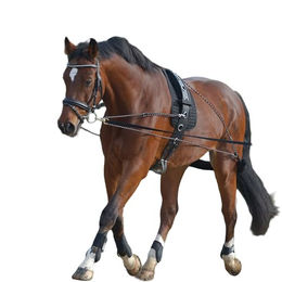 Longiersystem WA – Bild 1 von 2