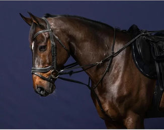 Produktbild von Longierzopf Pferd komplett Dy'on Howlett