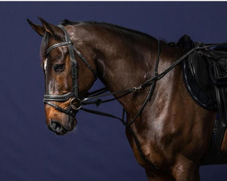 Produktbild von Longierzopf Pferd komplett Dy'on Howlett