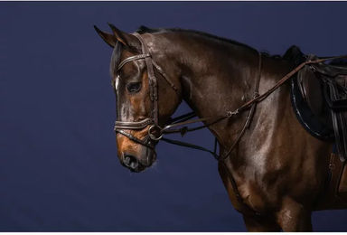 Produktbild von Longierzopf Pferd komplett Dy'on Howlett