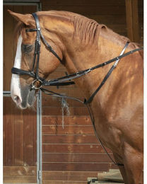 Produktbild von Longierzopf Pferd Norton Thiedeman