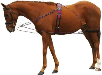 Produktbild von Longierzügel für Pferd mit Flaschenzügen Norton