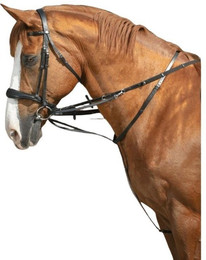 Produktbild von Longierzügel Pferd Norton Thiedeman Pro