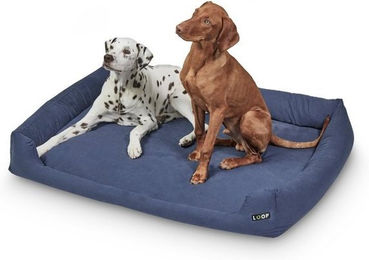 Produktbild von Loop Orthopädisches Hundebett Blau M für Große Hunde