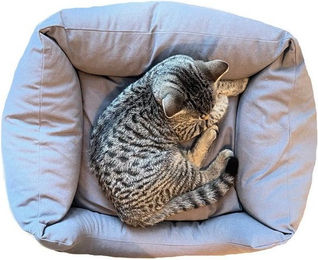 Produktbild von LOOPcats Katzenliege LIEBLINGSPLATZ