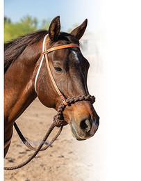 Produktbild von Loping Hackamore – Professionals Choice