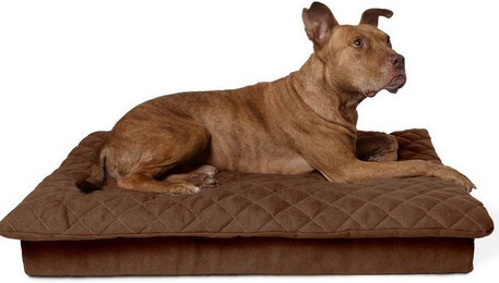 Produktbild von Lous Hundebett mit abnehmbarem Topper