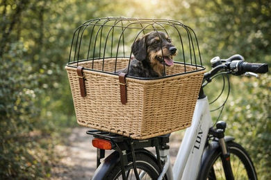 LUCHS Hundekorb Hundekorb für Fahrrad Weidenoptik hellbraun mit Schutzgitter, Befestigung & Riemen, bis 15 kg (Hund/Katze) – Bild 1 von 2