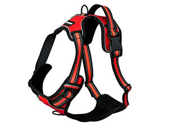 Luchs und Hase Hundegeschirr L Rot – Bild 1 von 8