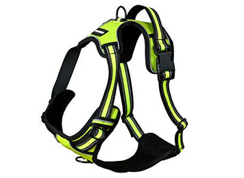 Luchs und Hase Hundegeschirr XL Gelb – Bild 1 von 8