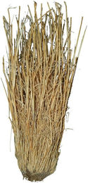 Lucky Reptile Grasbüschel 25-40 cm – Bild 1 von 5