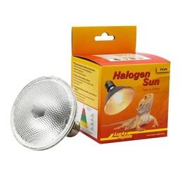 Produktbild von Lucky Reptile Halogen Sun E27 75W - 1 Stk.