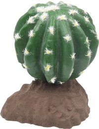 Produktbild von Lucky Reptile Kugelkaktus 13 cm